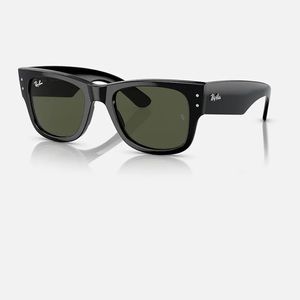 Ray-Ban Black Sunglasses